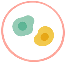Chlamydia