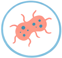 Gonorrhea