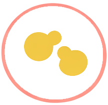 Mycoplasma hominis