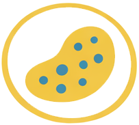 Hepatitis B
