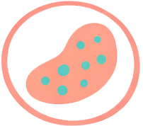 Hepatitis C